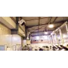 TR 3 D - Elektrické závěsné topidlo TR3D o výkonu 3,3kW / 230V.